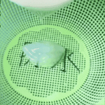 Impermeabilizante Premium™ IMPERMIA  L800+ envió gratis